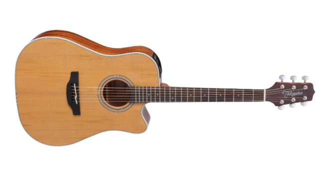 Takamine GD20CE-NS